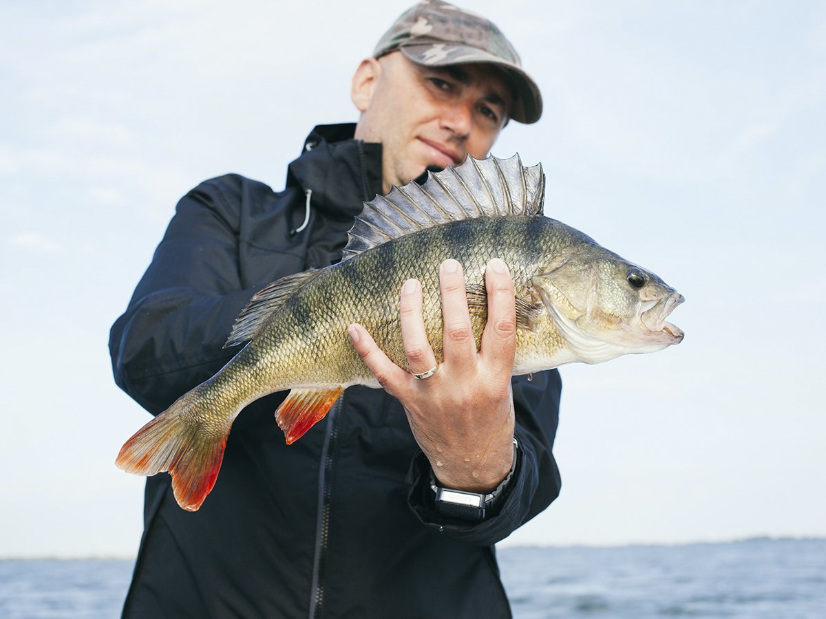 Воблер "Smartfish"
