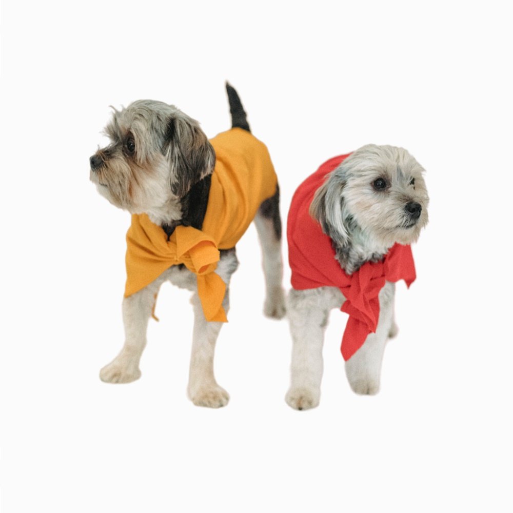 Товары для животных